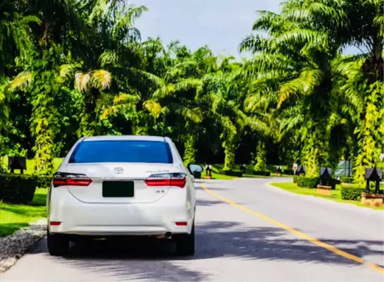 Toyota Corolla Altis for rent in Phuket