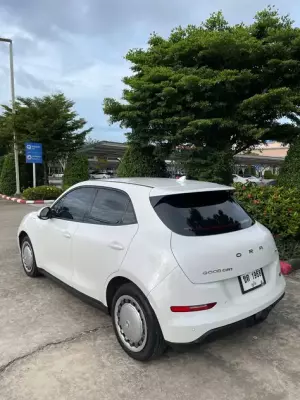 ORA Good Cat for rent in Thailand